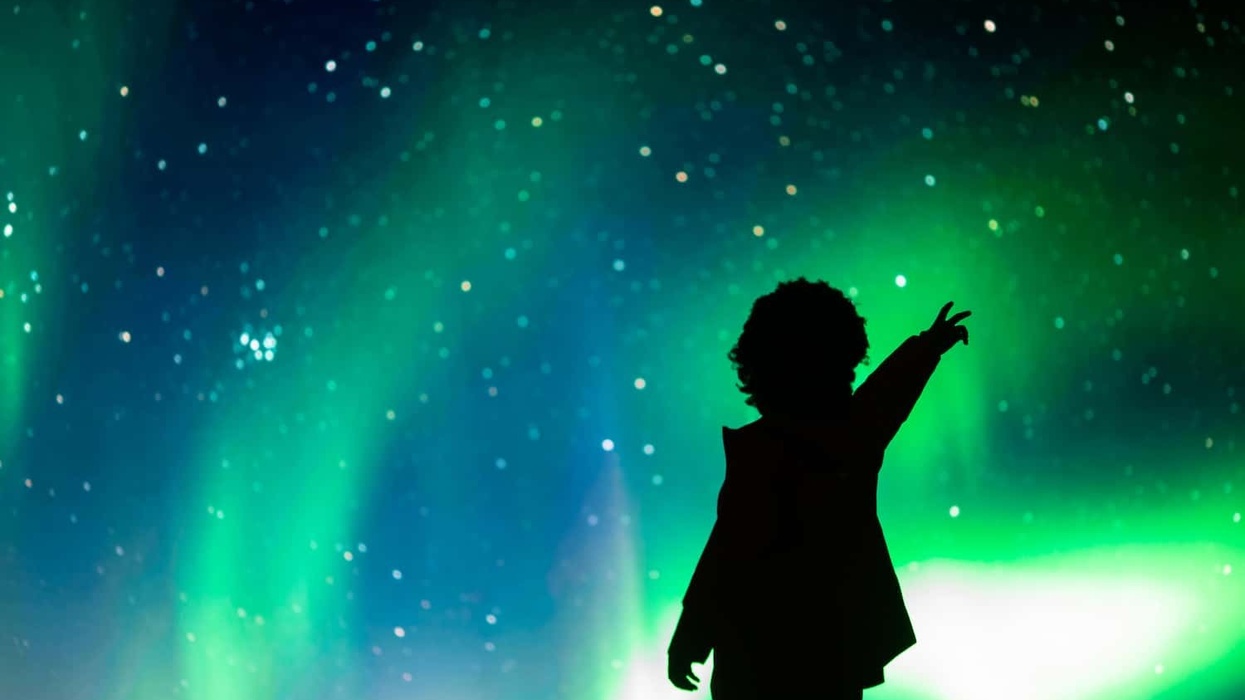 bbc earth experience