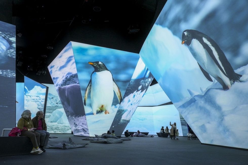 bbc earth experience