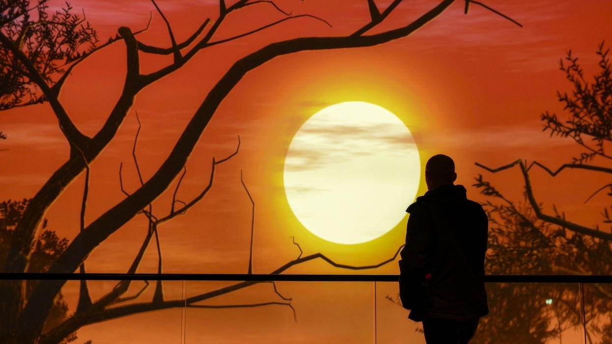 bbc earth experience