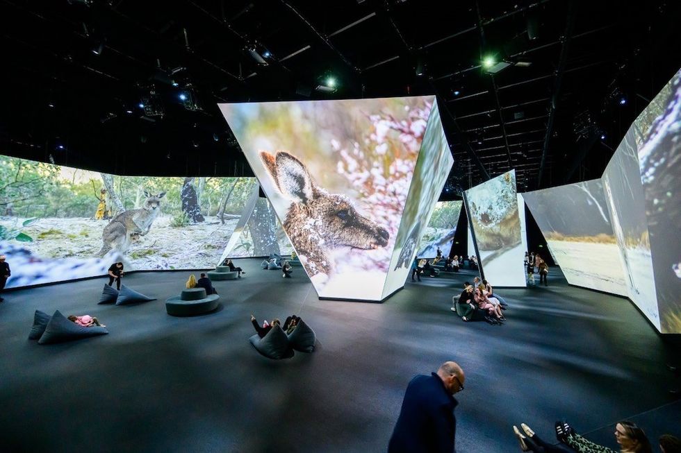 BBC Earth experience