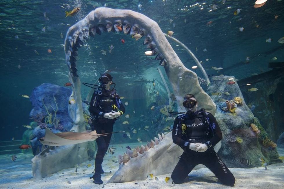 Bear-Grylls-Adventure_dive-tank