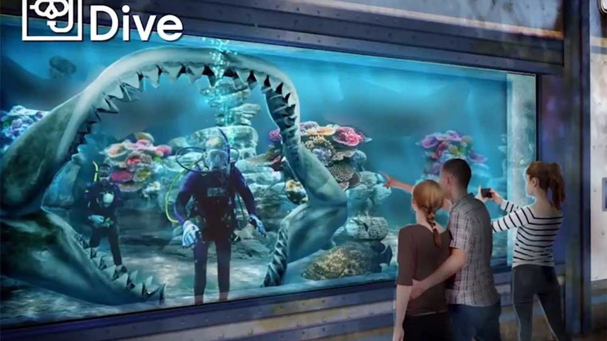Bear Grylls Adventure dive with sharks Merlin Entertainments
