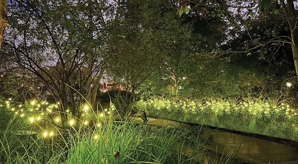 Beaudry Interactive Light Sprites NHM woodland