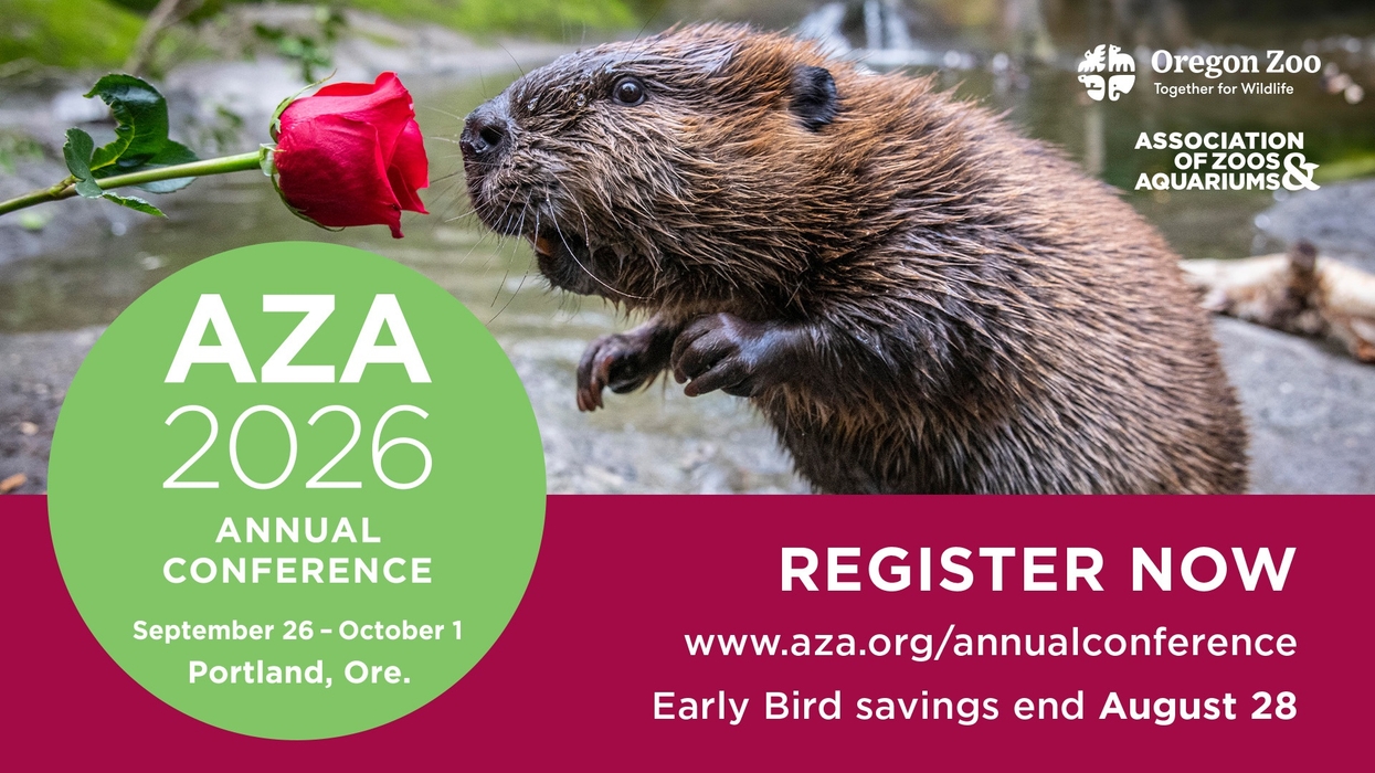 Beaver sniffs rose; AZA 2026 Annual Conference details in Portland, Oregon., September 26-October 1.