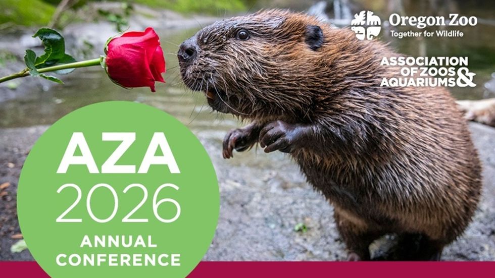 Beaver with rose, promoting AZA 2026 Conference at Oregon Zoo, September 26\u2013October 1.