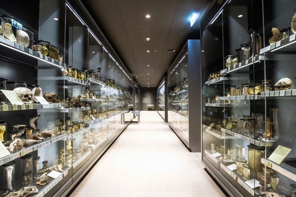 BECK Hunterian Museum Crystal Gallery