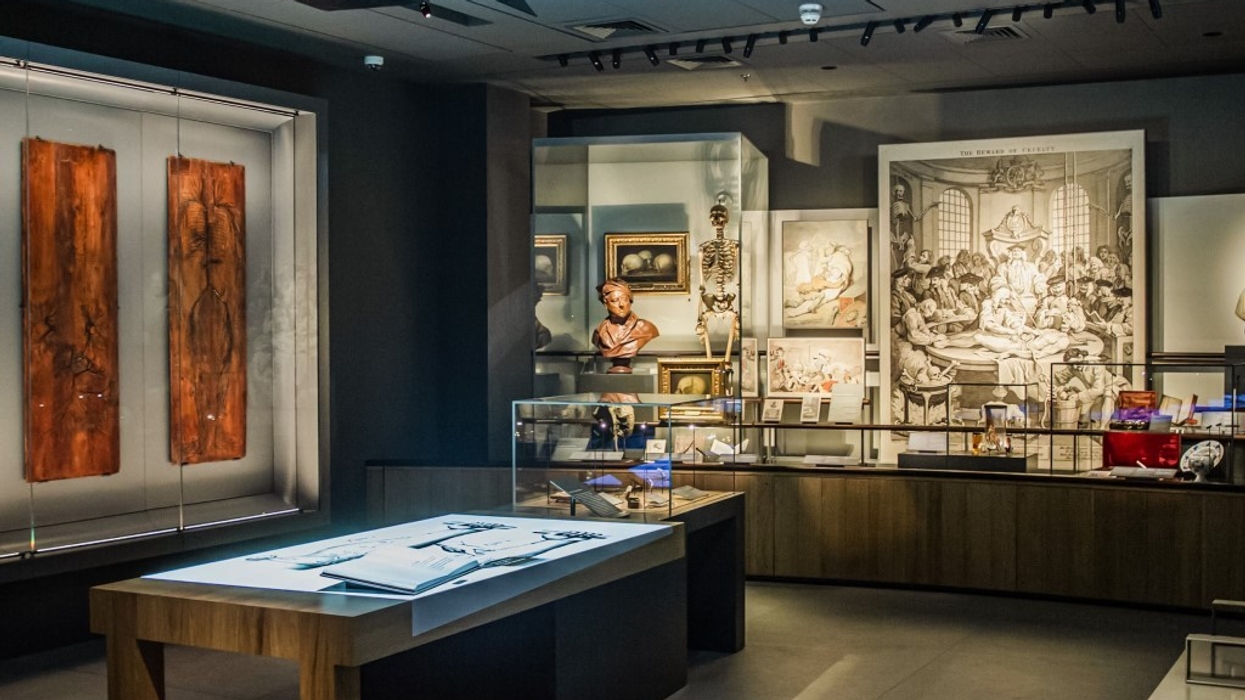 BECK Hunterian Museum