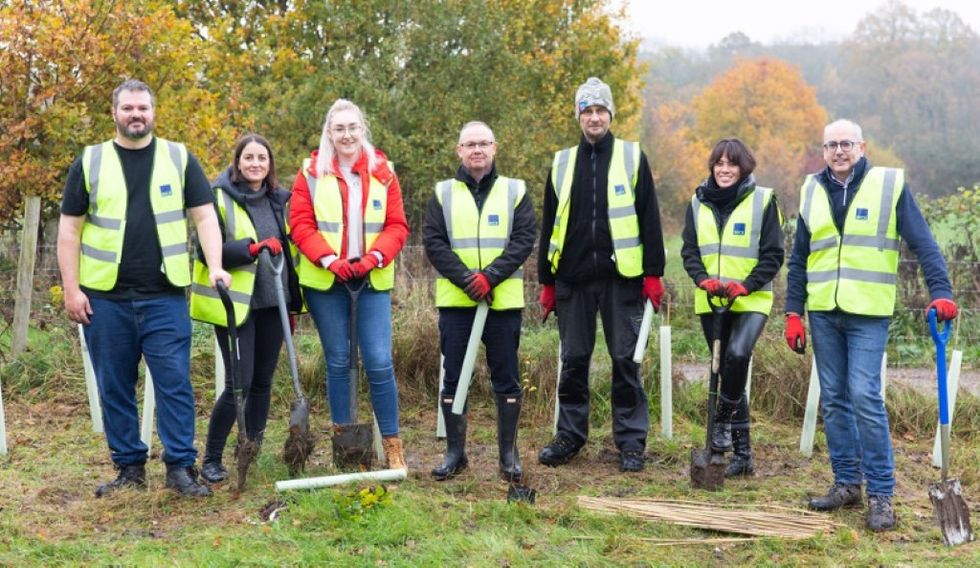 BECK team planting trees