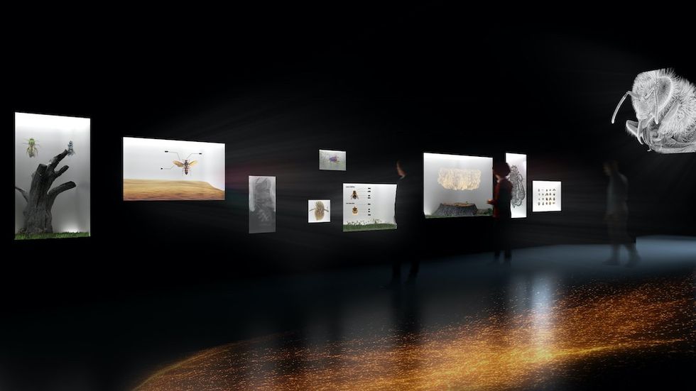 Bees story of survival