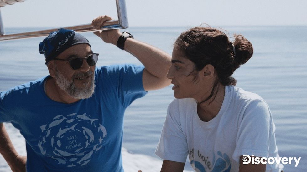 Beneath the Surface the Fight for Corals Discovery Red Sea