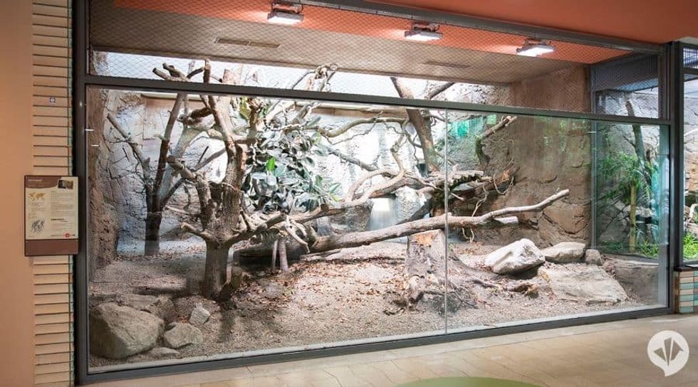 Berlin Tierpark Alfred Brehm Haus dan pearlman