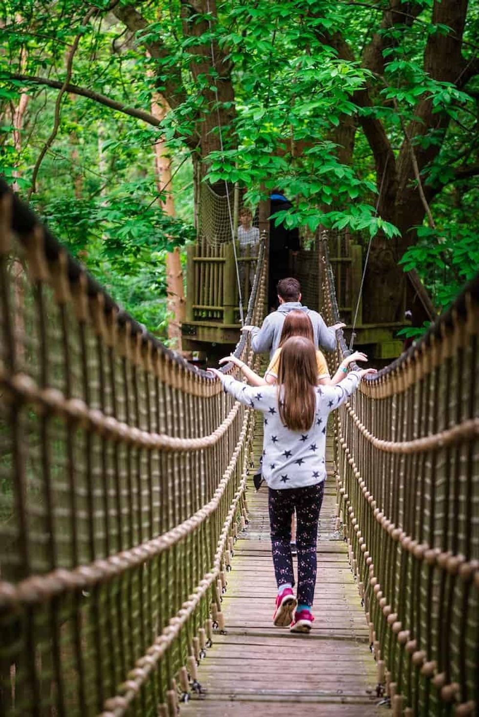 BeWILDerwood Cheshire_Bridge