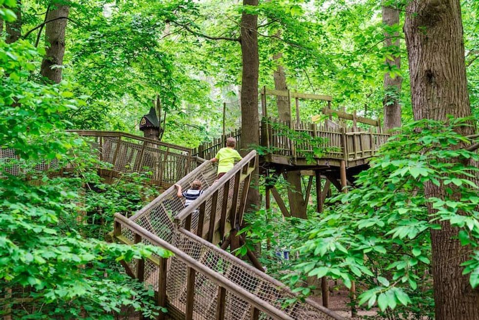 bewilderwood cheshire