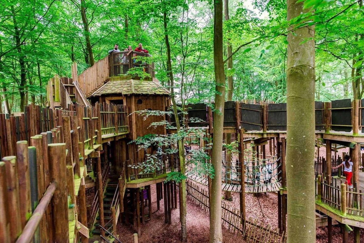 BeWILDerwood Treehouse Adventure guests on top of playground