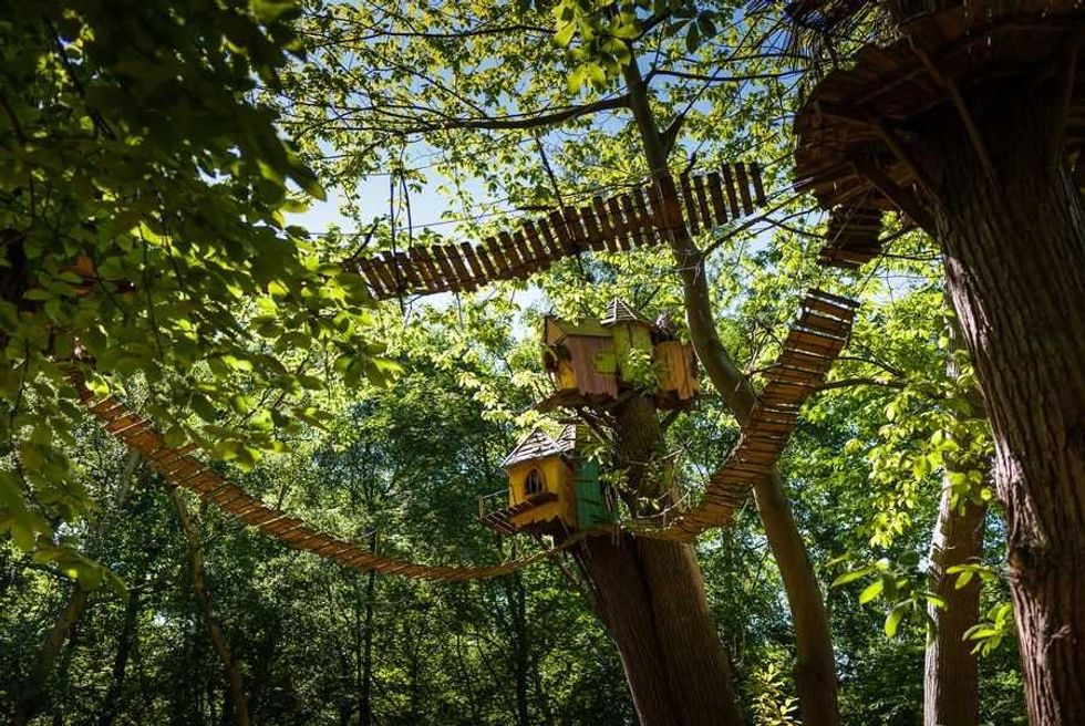 BeWILDerwood Treetop Adventure