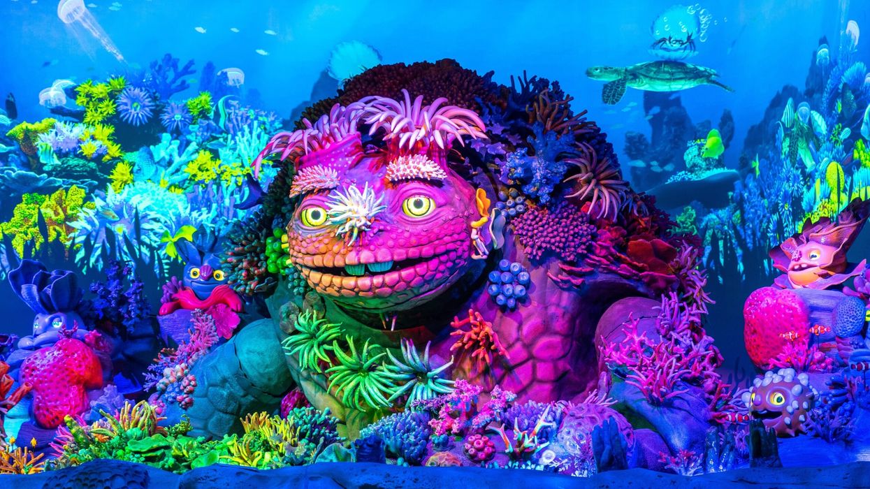 Bezark Chimelong Spaceship - Coral Monster