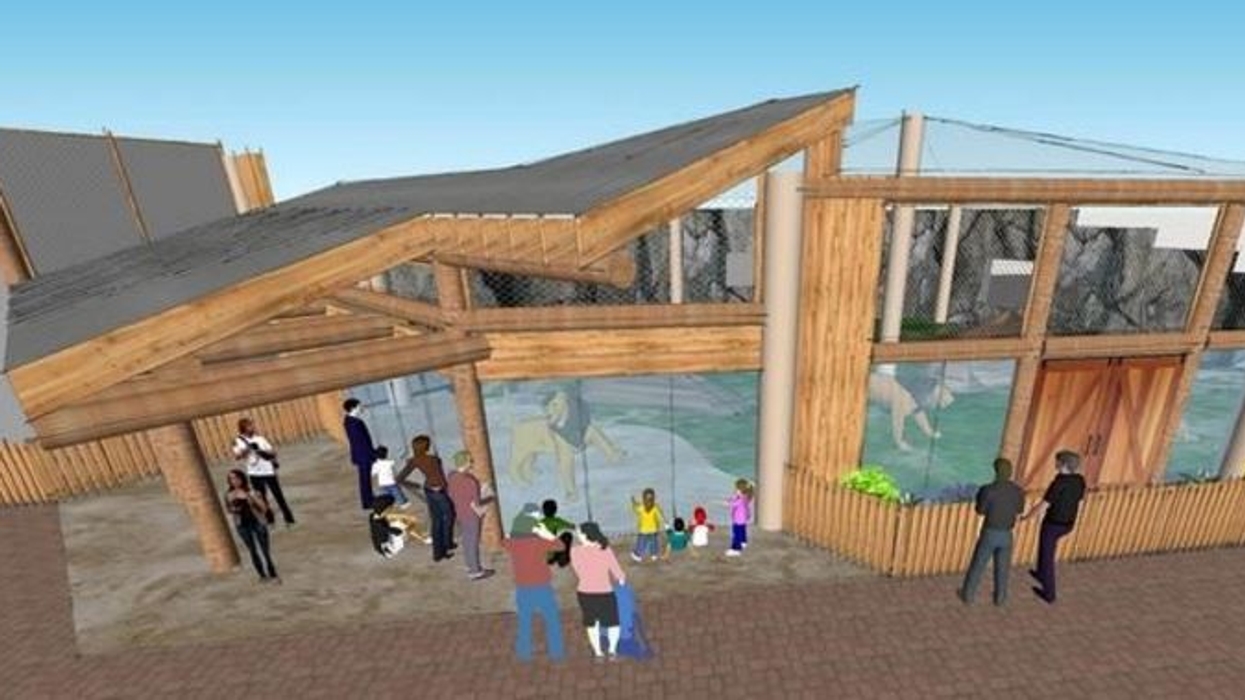 Bids open July 5th for construction of Erie Zoo's new lion exhibit