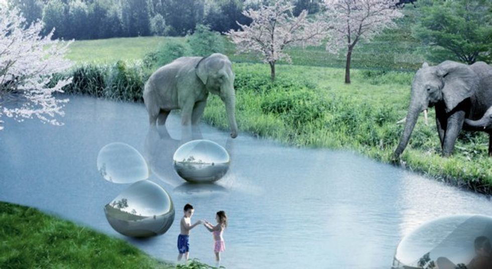 BIG design for Givskud Zoo Denmark Stacey Tarpley