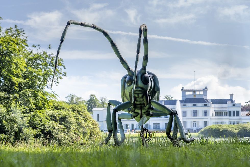 Big Insects Soestdijk Kibeco