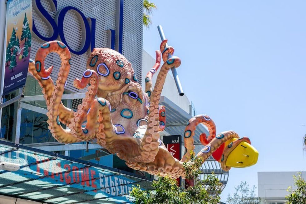 Big Octopus Pico Play Ripleys Surfers Paradise