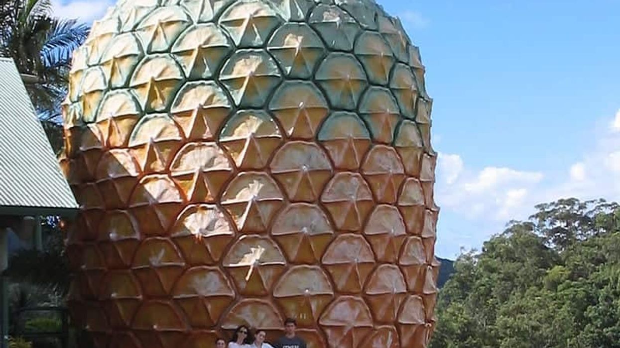 big pineapple australia