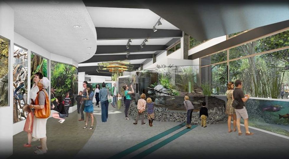 Biodiversity Centre first phase in total transformation of Sacramento Zoo