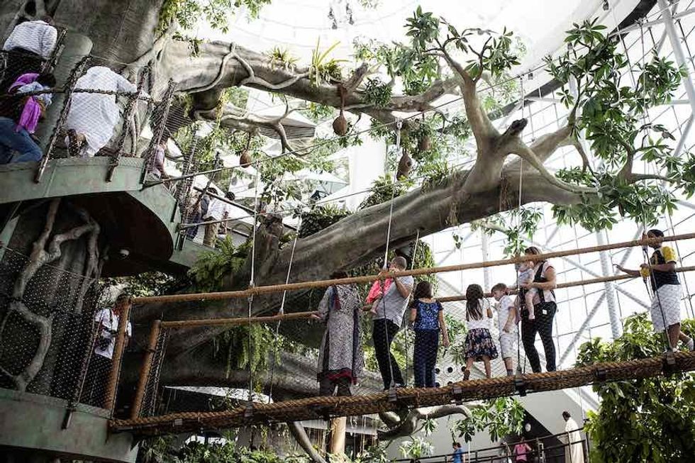 Biome treetop canopy the green planet dubai a