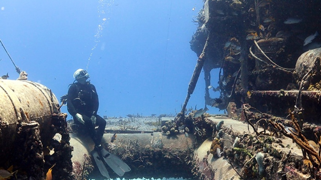 birch aquarium Meditation Ocean: Aquarius Reef Base