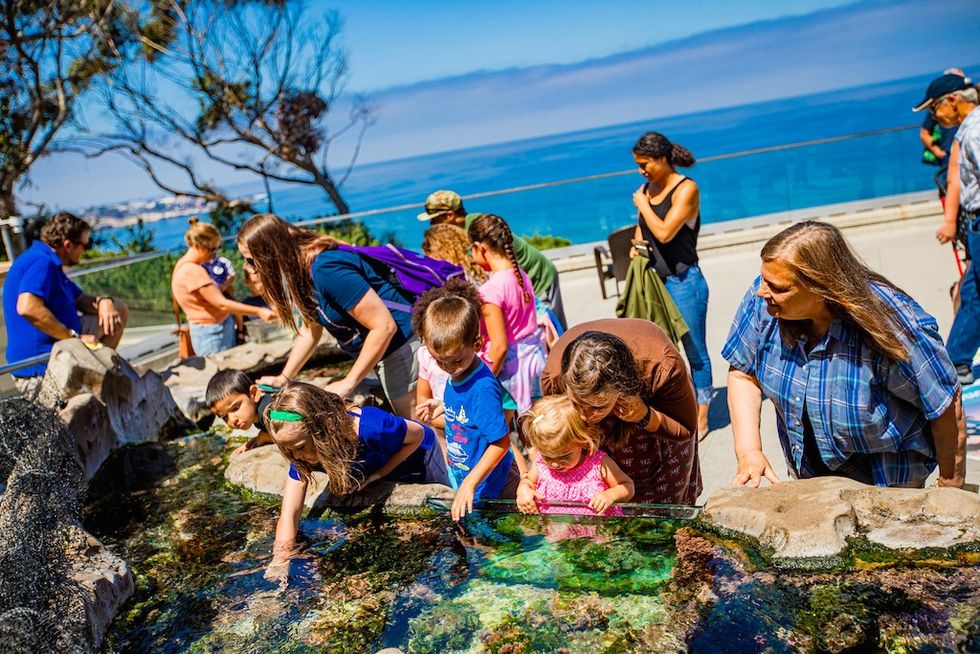 Birch Aquarium’s Tide Pool Plaza gives you the unique opportunity to touch local tide pool creatures