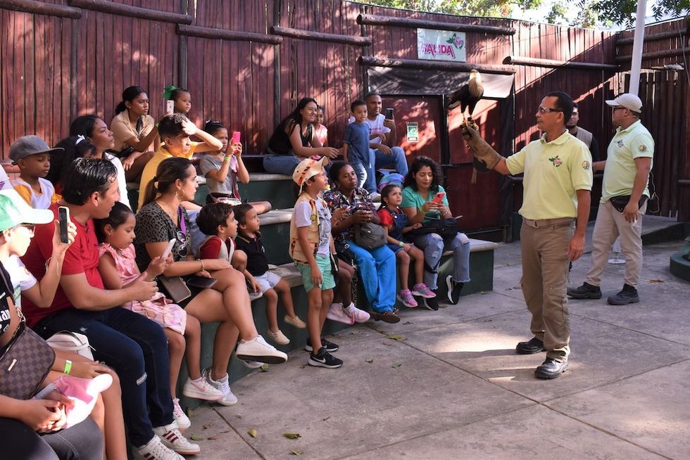 Bird of Prey show Zoo Barranquilla