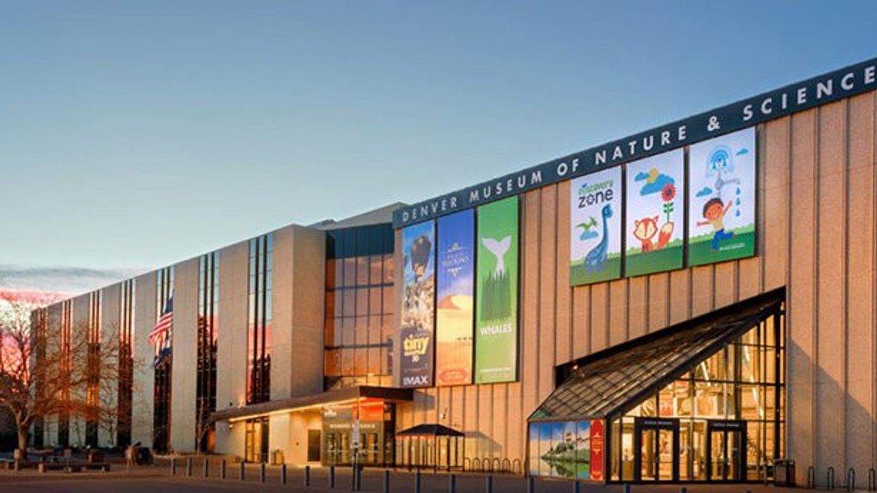 Birdly Denver Museum of Nature & Science