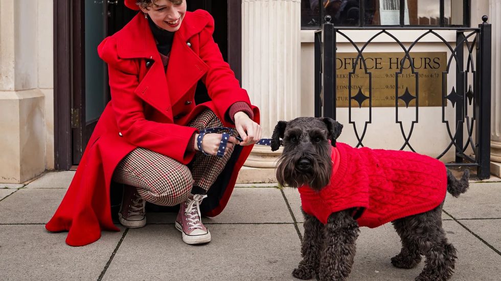 black country living museum dogs