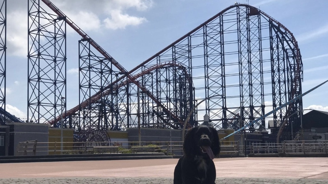 blackpool pleasure beach dog days