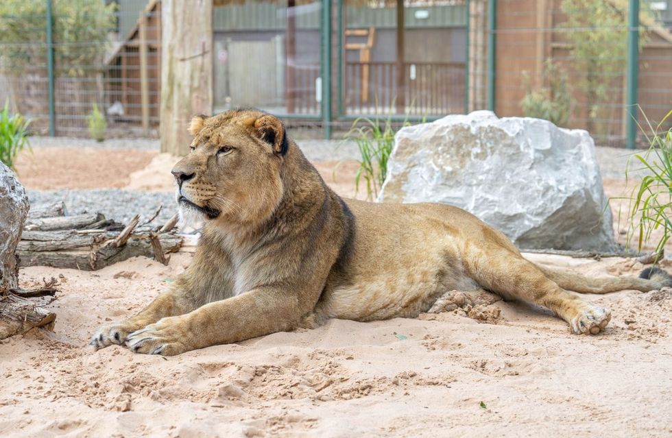 blackpool zoo