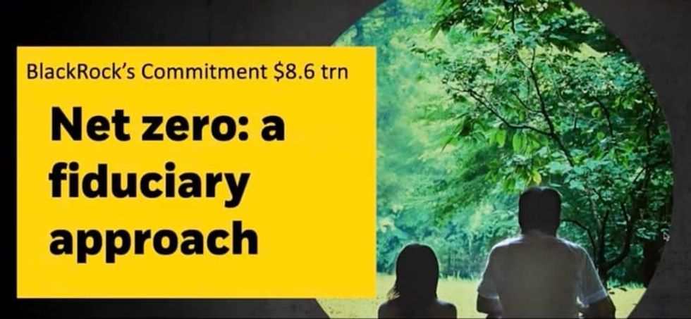 Blackrock sustainability