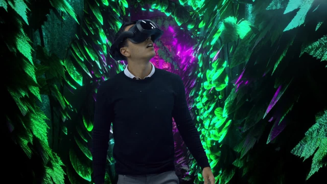 Blanco y Negro Tomorrowland