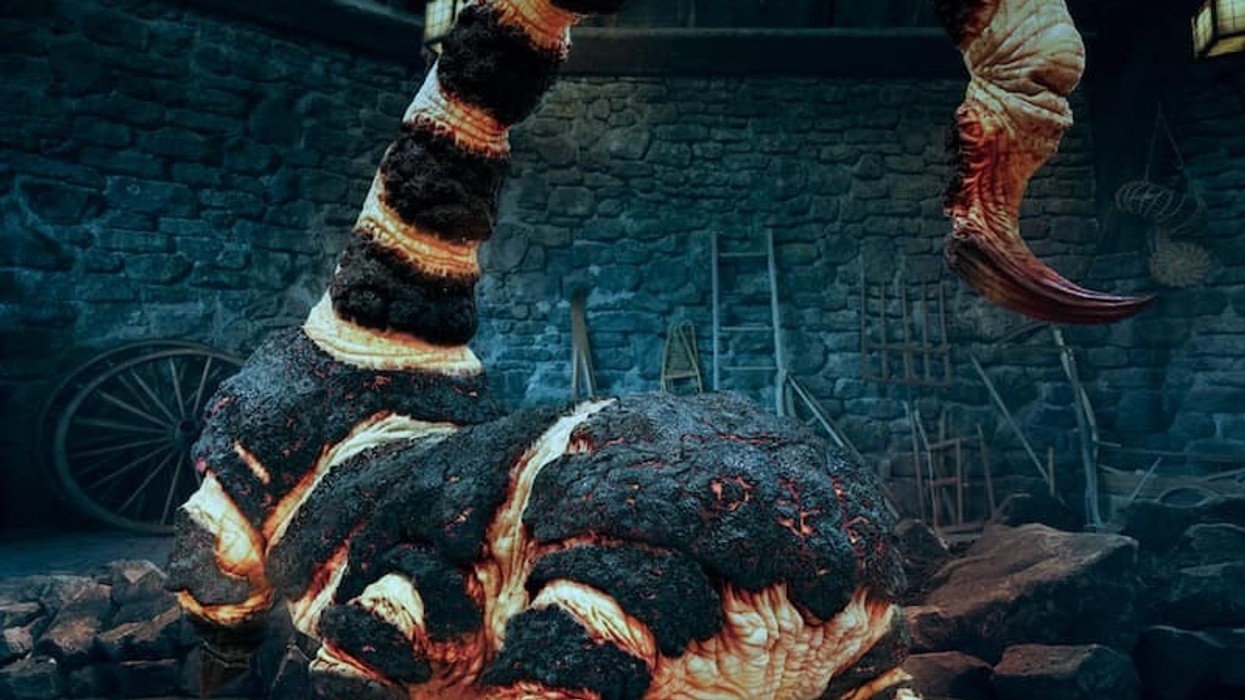 blast-ended skrewt universal harry potter