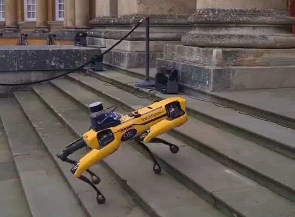 blenheim palace robot dog sustainability trends