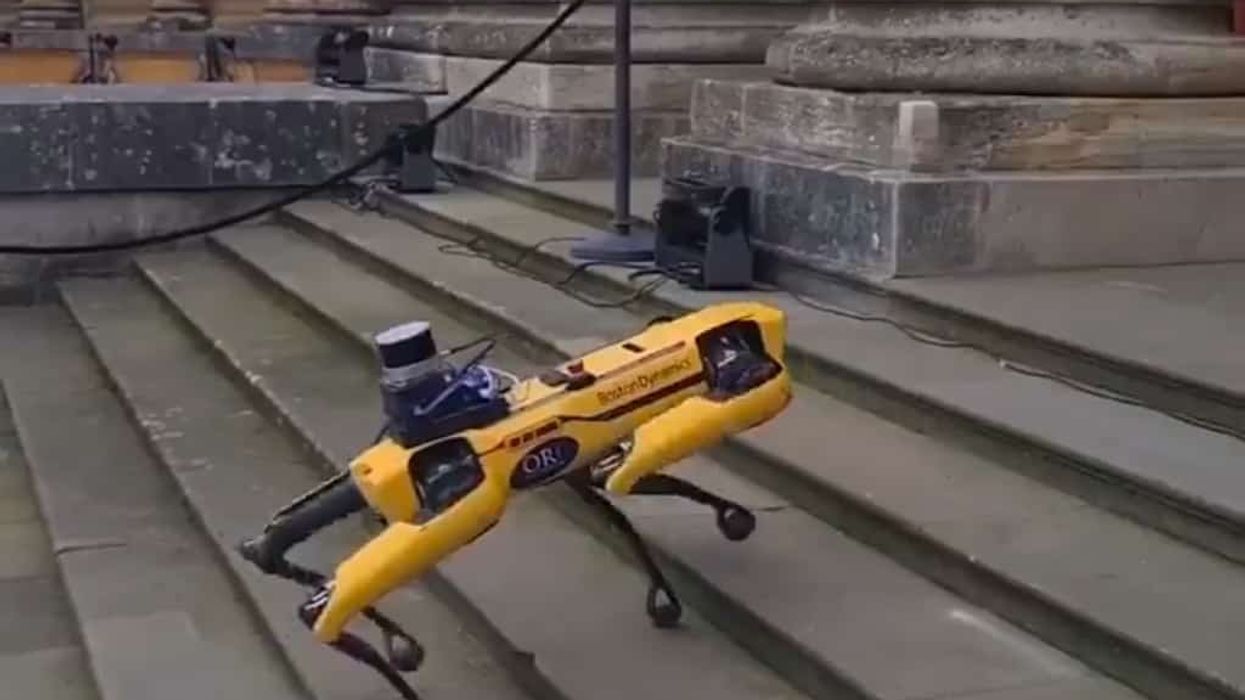 blenheim palace robot dog