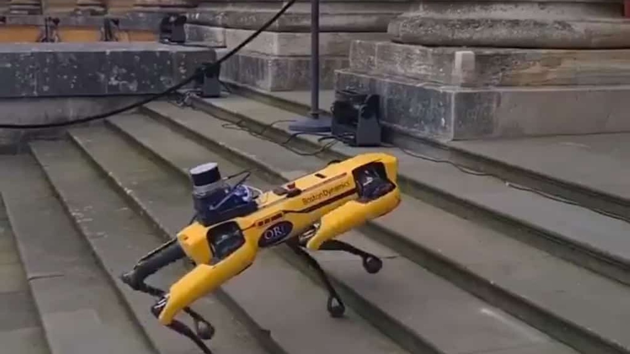 blenheim palace robot dog