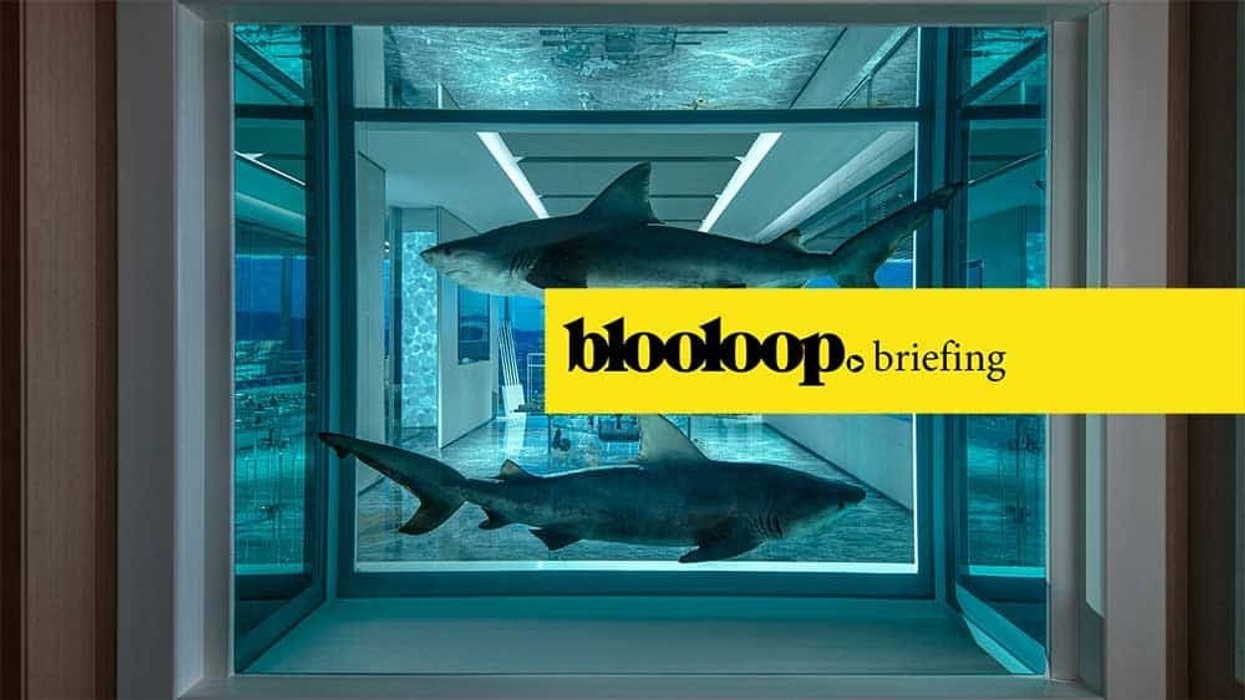 blooloop briefing attractions news damien hirst shark empathy suite