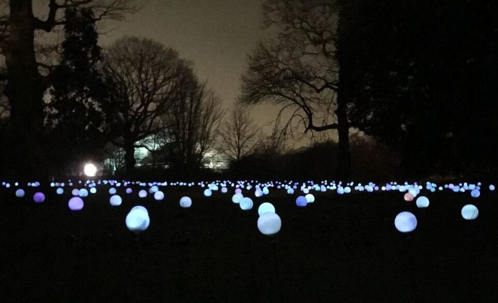 Blue Balls Christmas at Kew