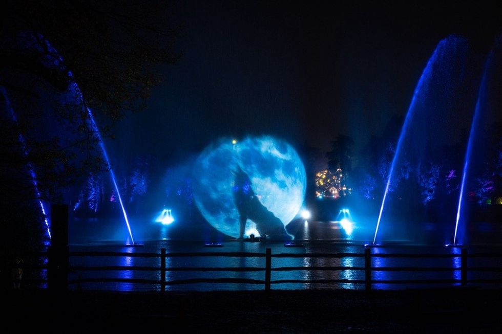 Blue-lit water fountains with a moonlit projection behind in a nighttime display.