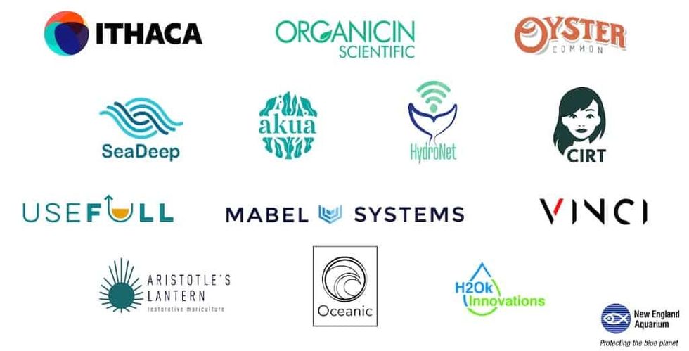 BlueSwell cohort one