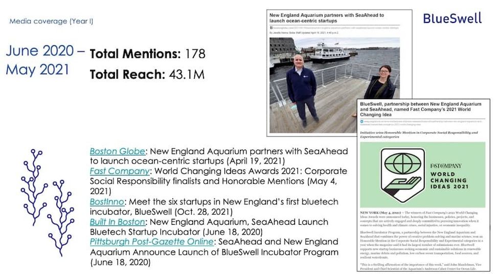 BlueSwell in the media