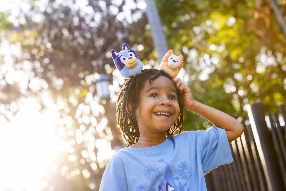 bluey animal kingdom