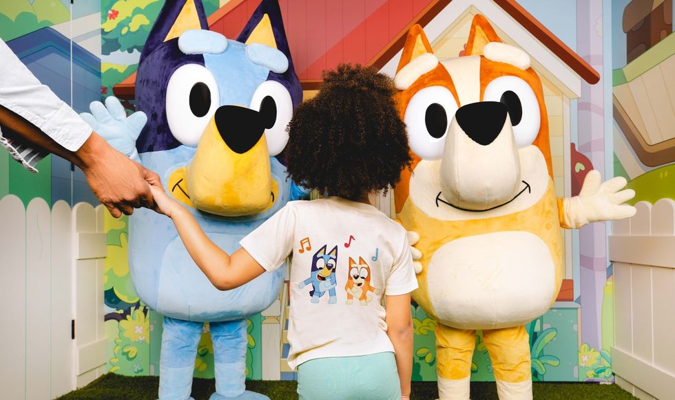 bluey camp immersive experience