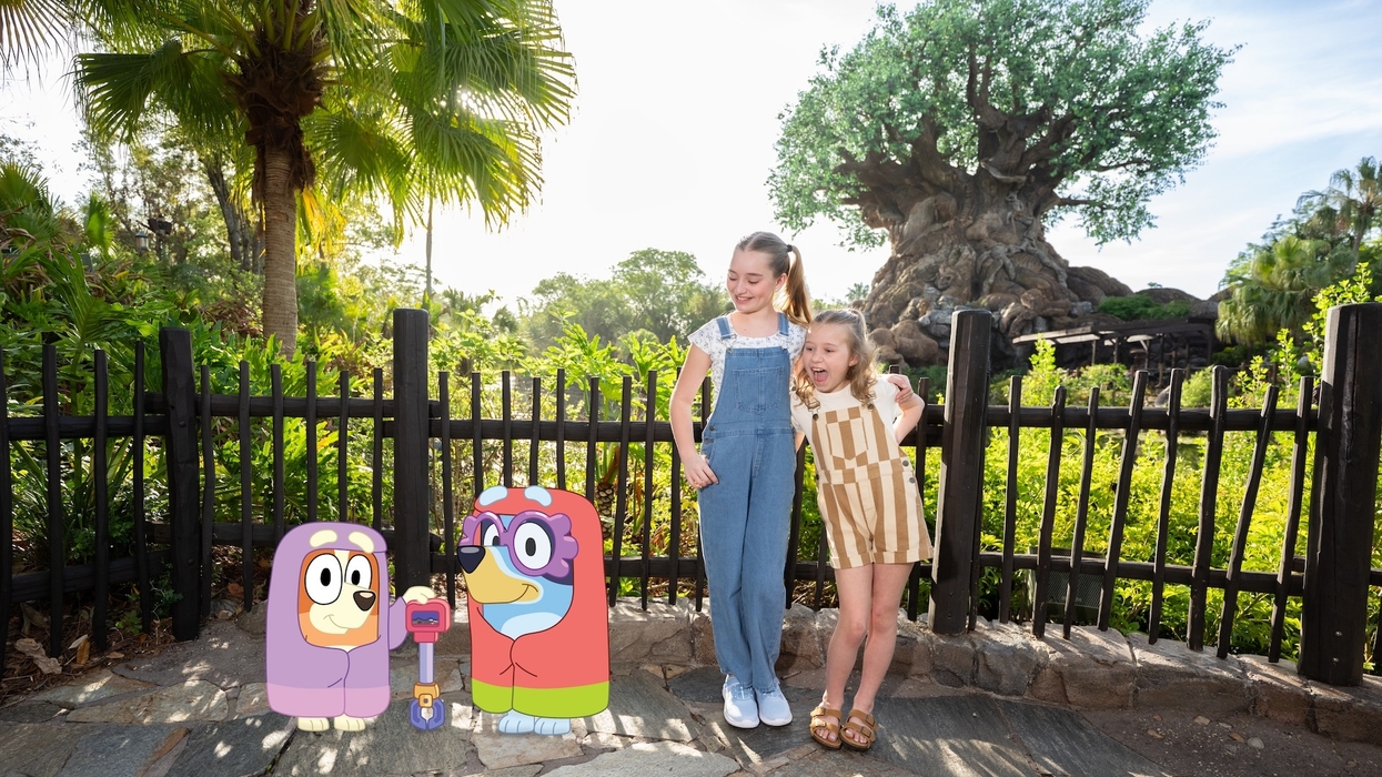 bluey disney animal kingdom