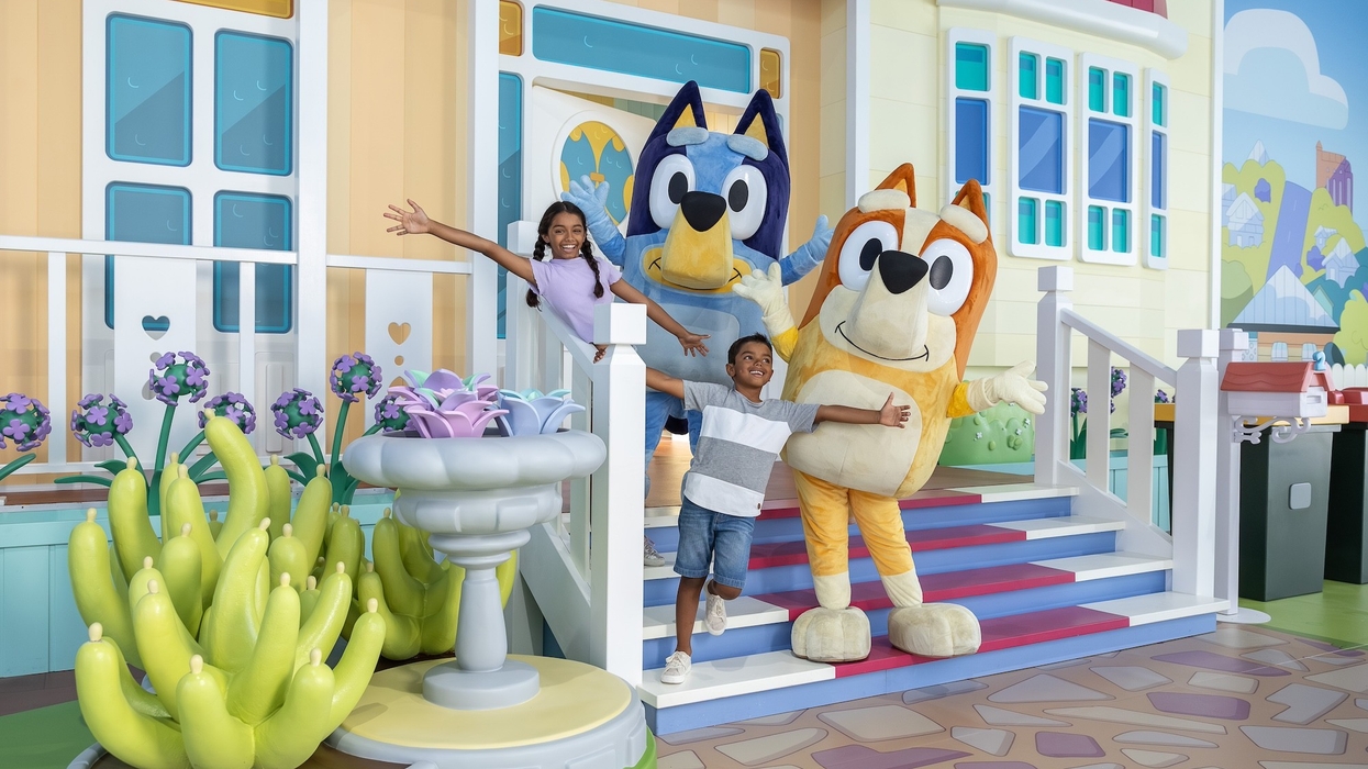 bluey's world