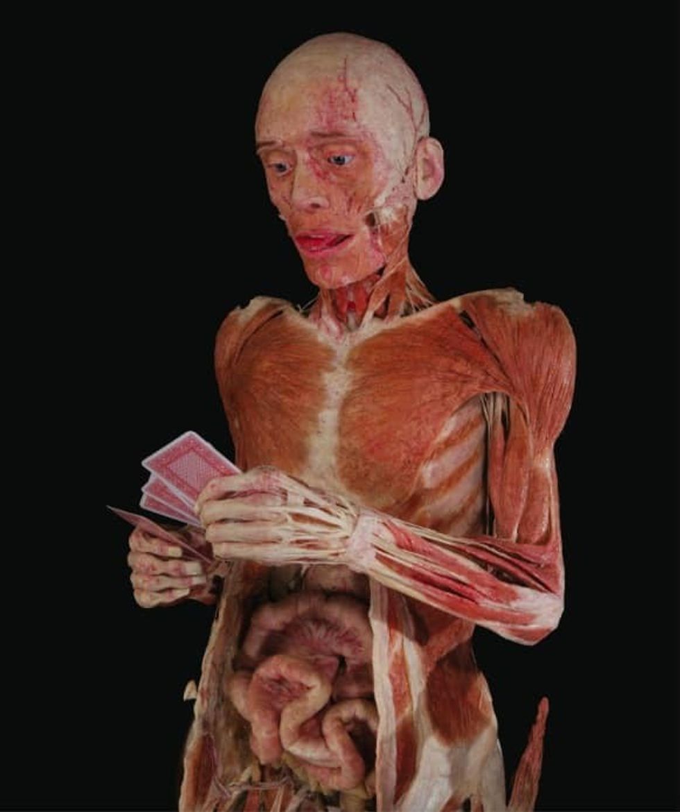 Body Worlds poker player shocking museum exhibitions